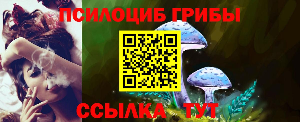 наркота  Вход с VPN  Серпухов  Псилоцибиновые грибы мицелий 